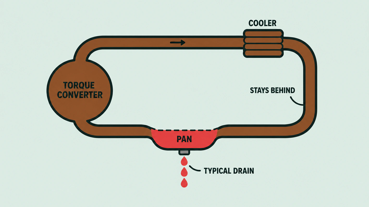 Flat diagram of a typical transmission pan drain. One color shows fluid leaving the pan, while another shows fluid that usually stays in the torque converter, cooler, and rest of the circuit. Labels read pan, torque converter, cooler, typical drain, and stays behind.